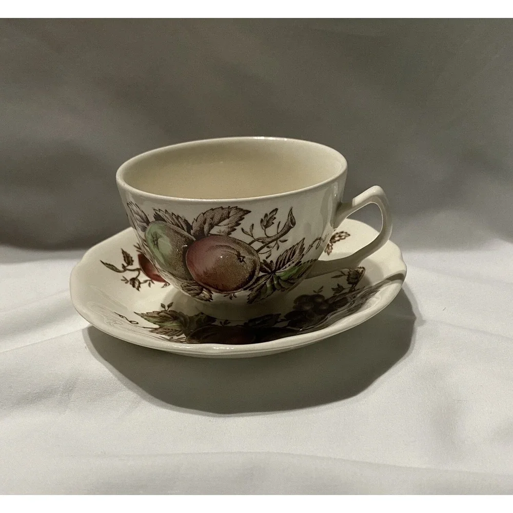 Johnson Brothers Harvest Time Brown Multicolor Cup & Saucer